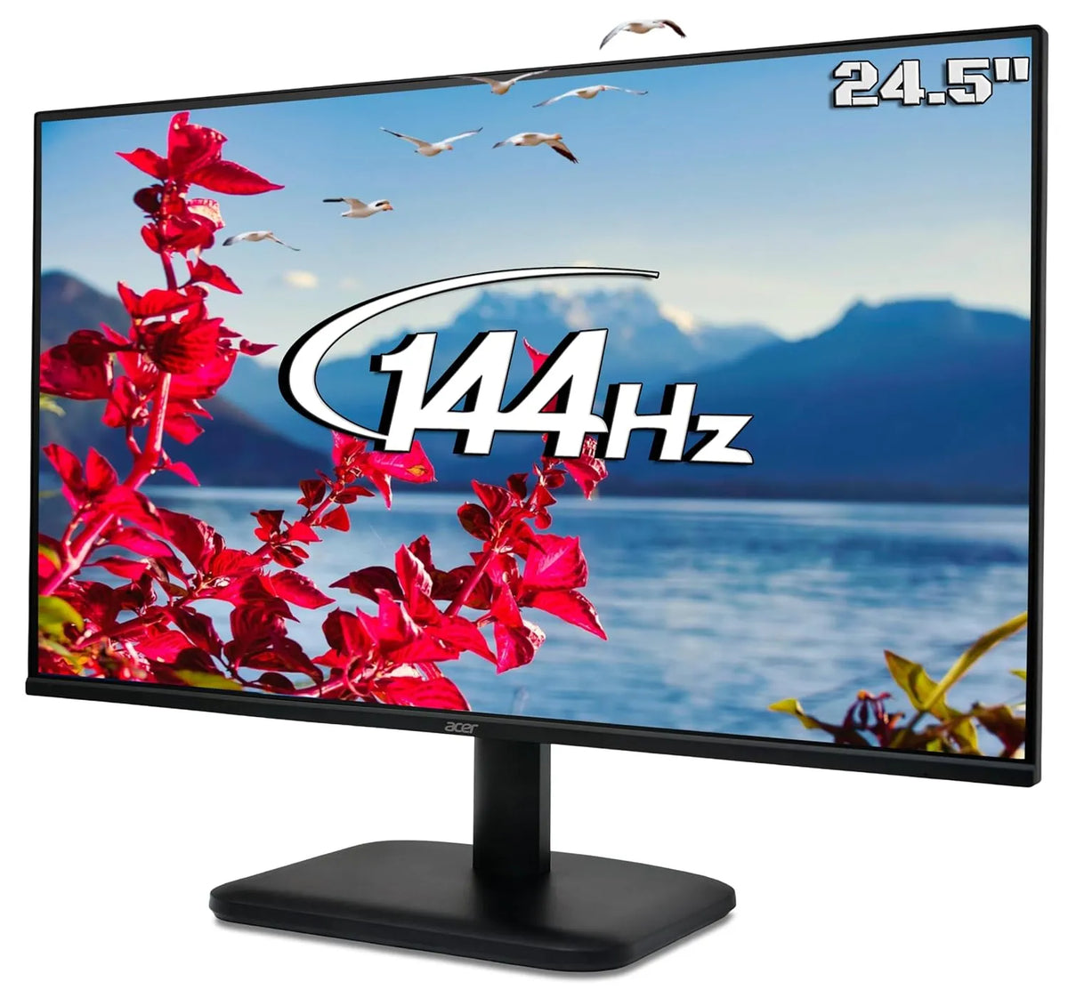 Acer EK251Q P6 24.5 Inch Full HD IPS LED Monitor (Open-Box)