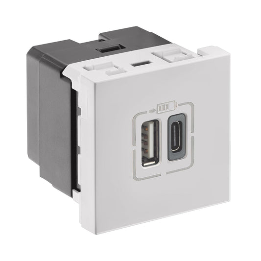 Legrand Lyncus-USB Charger-3000mA-Type A+C-2 Module-White