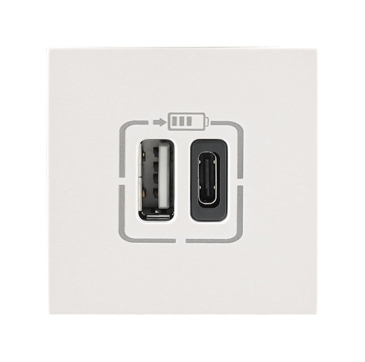 Legrand Lyncus-USB Charger-3000mA-Type A+C-2 Module-White