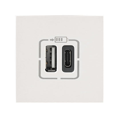 Legrand Lyncus-USB Charger-3000mA-Type A+C-2 Module-White