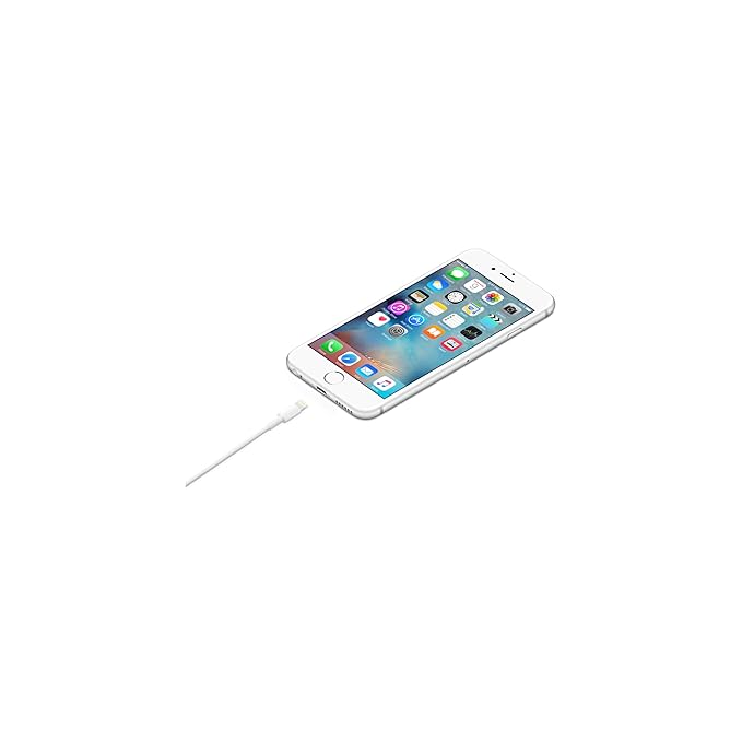 Apple Lightning to USB Cable (1m)